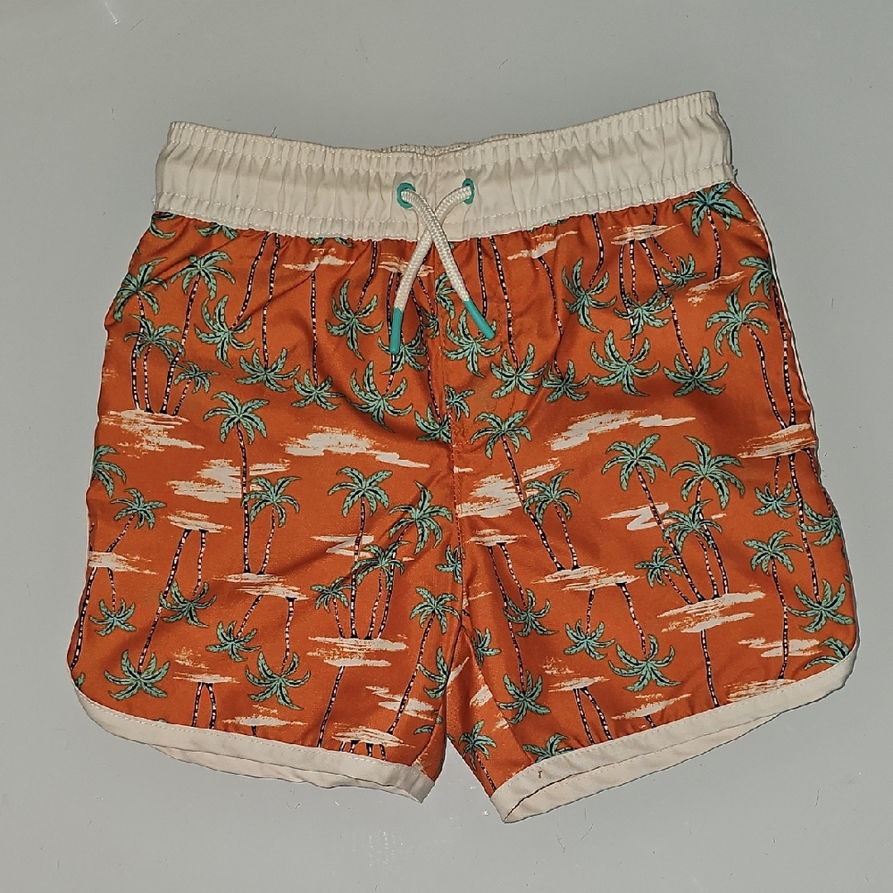 Toddler Boys 3t Swim Trunks